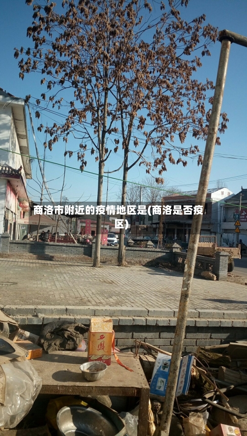 商洛市附近的疫情地区是(商洛是否疫区)-第3张图片