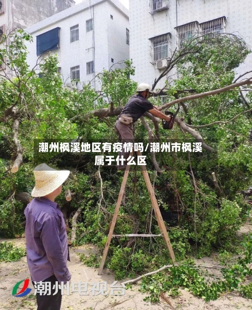 潮州枫溪地区有疫情吗/潮州市枫溪属于什么区-第2张图片