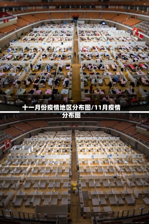 十一月份疫情地区分布图/11月疫情分布图