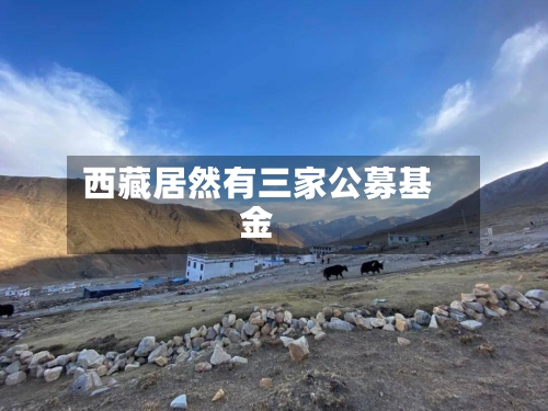 西藏居然有三家公募基金