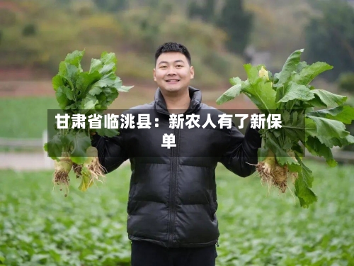 甘肃省临洮县:新农人有了新保单