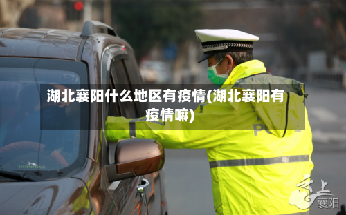 湖北襄阳什么地区有疫情(湖北襄阳有疫情嘛)-第2张图片