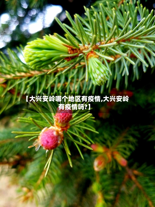 【大兴安岭哪个地区有疫情,大兴安岭有疫情吗?】