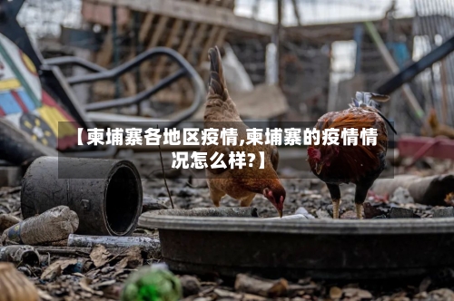 【柬埔寨各地区疫情,柬埔寨的疫情情况怎么样?】-第3张图片