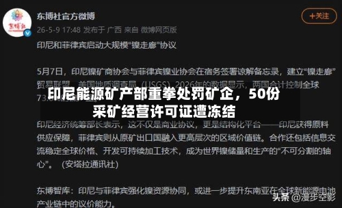 印尼能源矿产部重拳处罚矿企，50份采矿经营许可证遭冻结-第2张图片