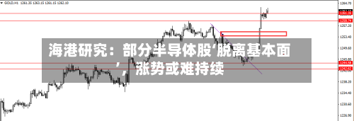 海港研究：部分半导体股‘脱离基本面’，涨势或难持续-第2张图片