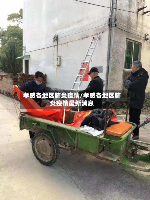 孝感各地区肺炎疫情/孝感各地区肺炎疫情最新消息