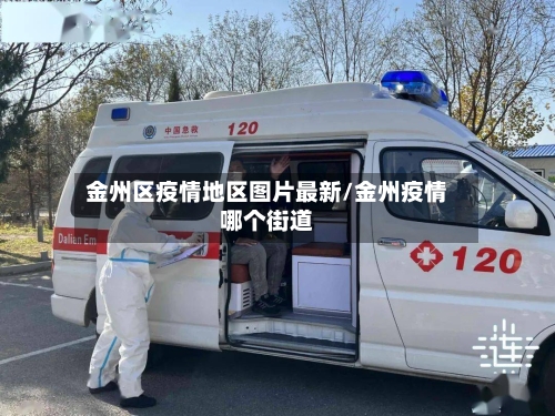 金州区疫情地区图片最新/金州疫情哪个街道-第2张图片