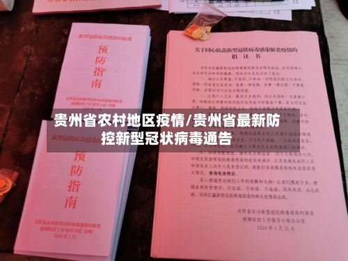 贵州省农村地区疫情/贵州省最新防控新型冠状病毒通告