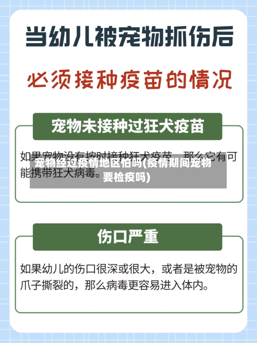 宠物经过疫情地区怕吗(疫情期间宠物要检疫吗)