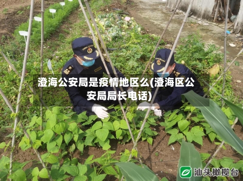 澄海公安局是疫情地区么(澄海区公安局局长电话)